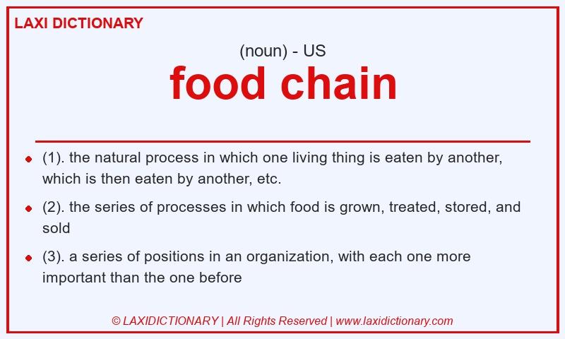 Definition food chain in American English