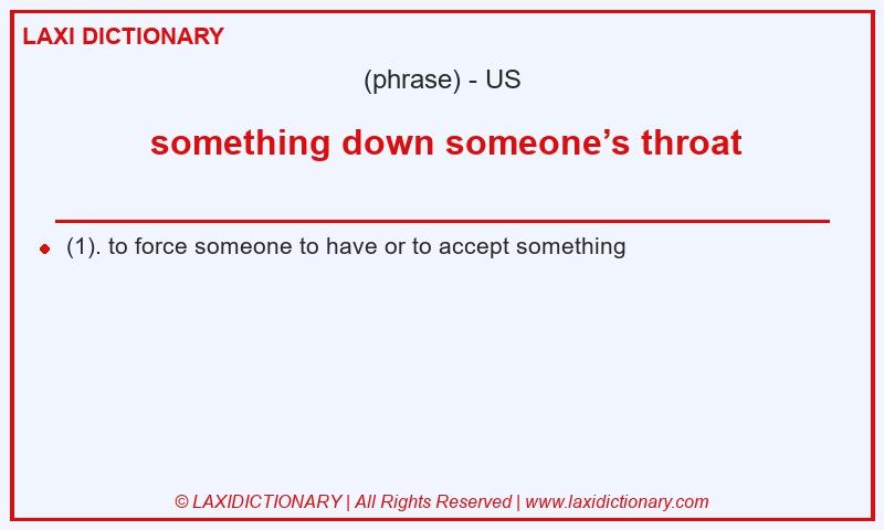 Definition  something down someone’s throat in American English