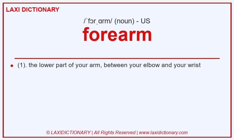Definition forearm in American English