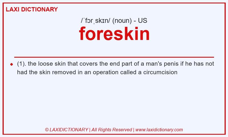 Definition foreskin in American English