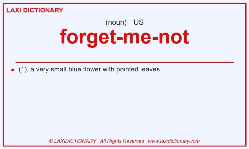 Definition forget-me-not in American English
