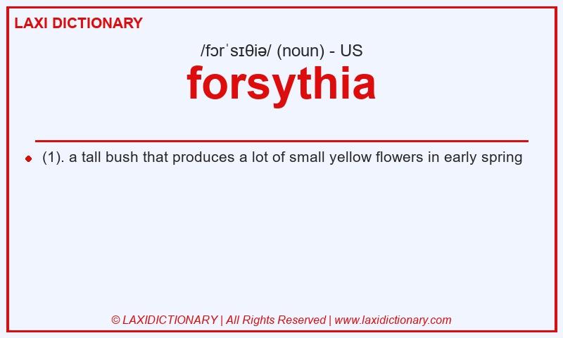 Definition forsythia in American English