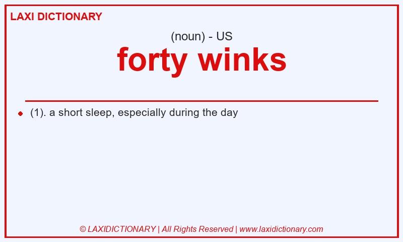 Definition forty winks in American English