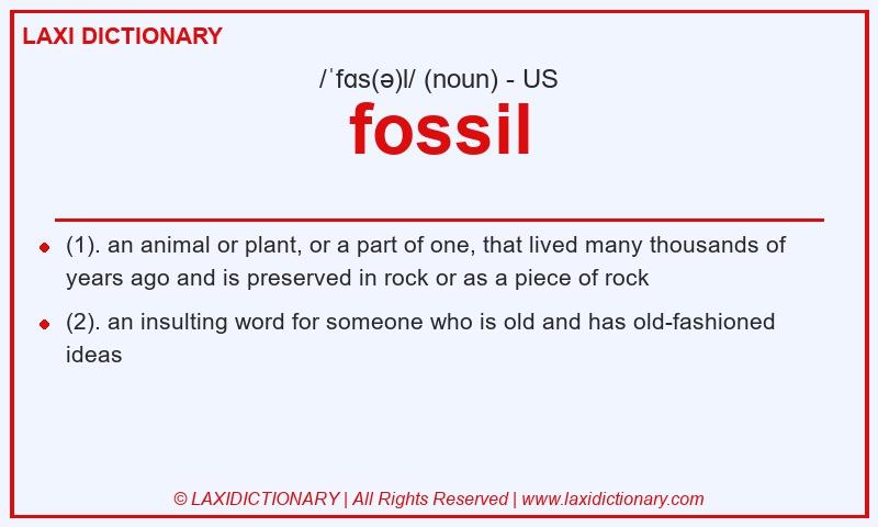 Definition fossil in American English