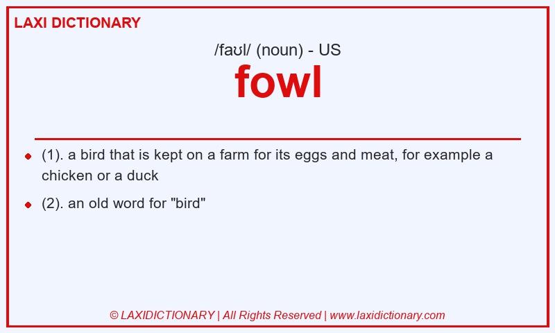 Definition fowl in American English