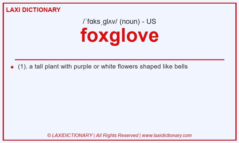 Definition foxglove in American English
