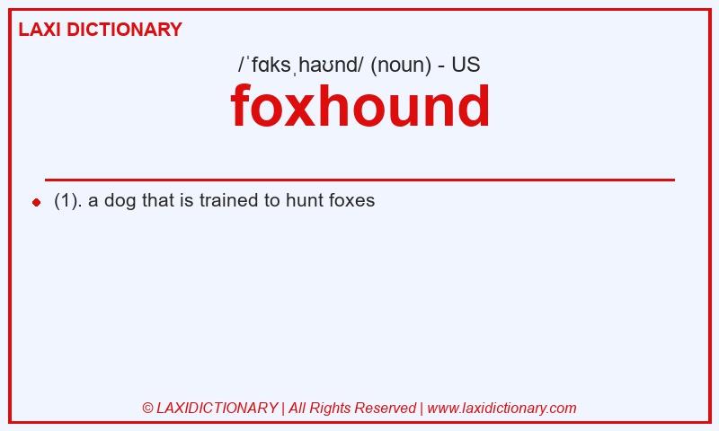 Definition foxhound in American English