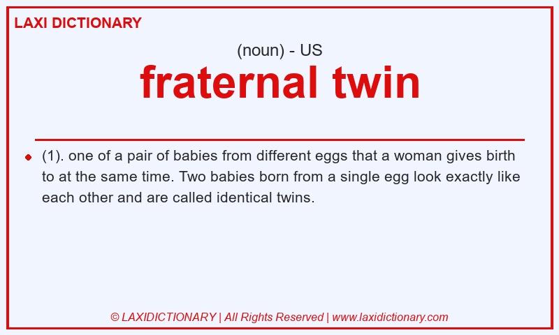 Definition fraternal twin in American English