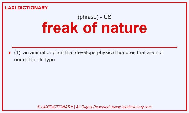 Definition freak of nature in American English