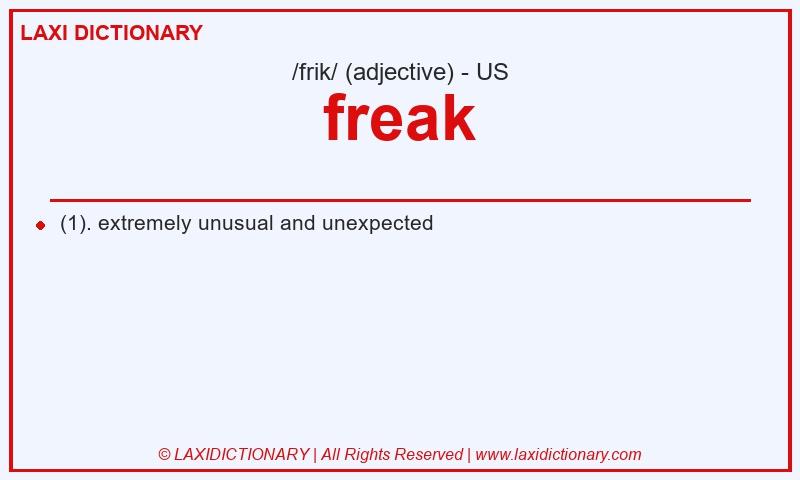 Definition freak in American English