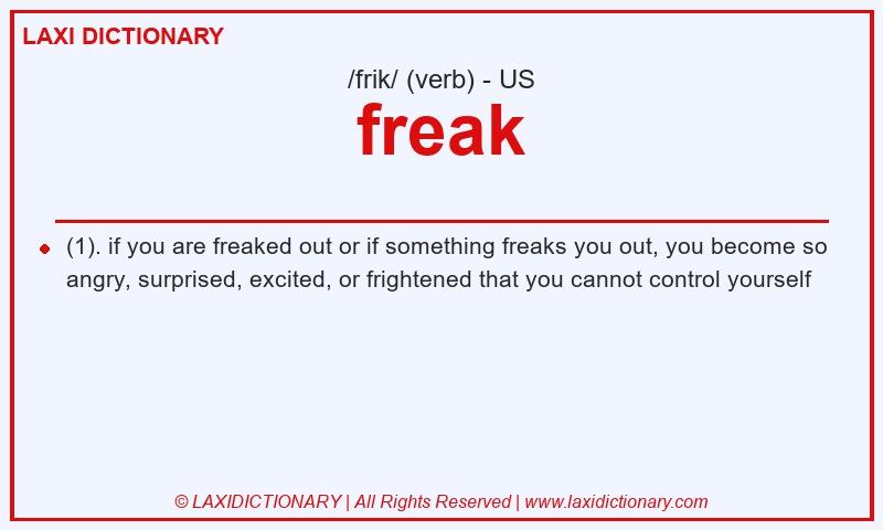 Definition freak in American English