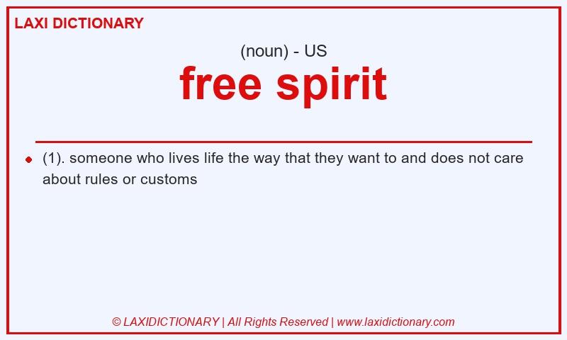 Definition free spirit in American English