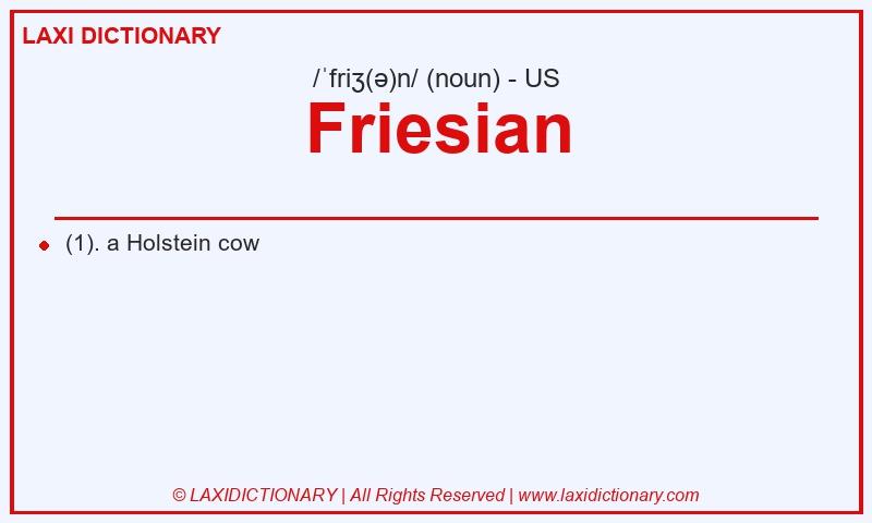Definition Friesian in American English