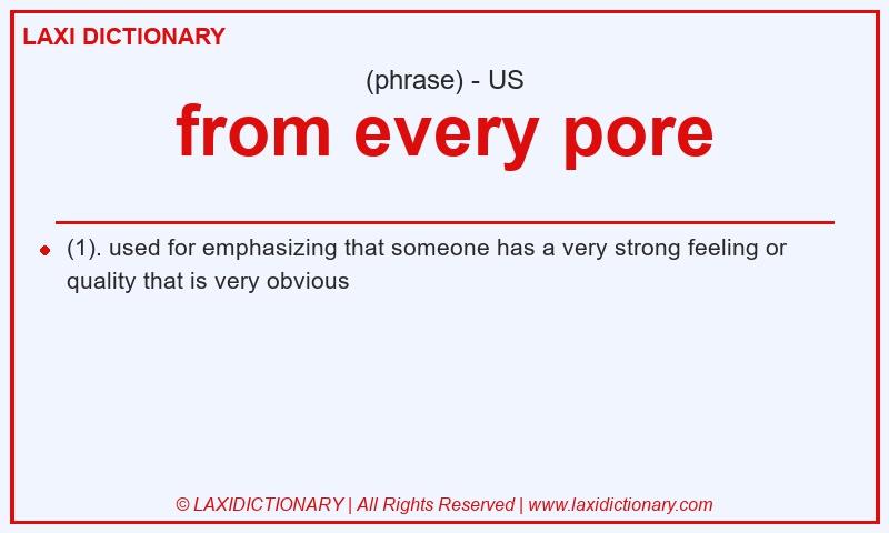 Definition from every pore in American English