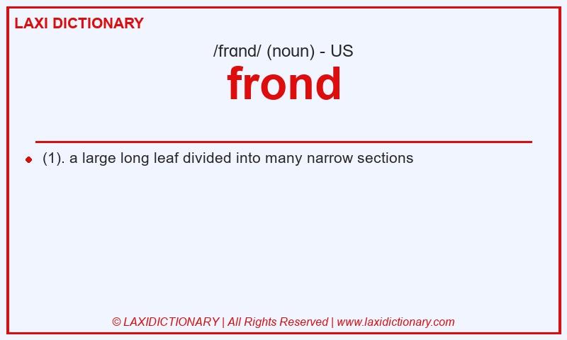 Definition frond in American English