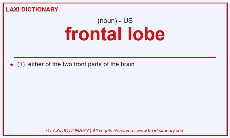 Definition frontal lobe in American English