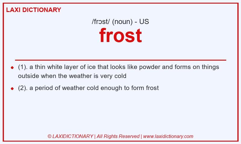 Definition frost in American English
