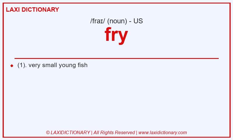 Definition fry in American English