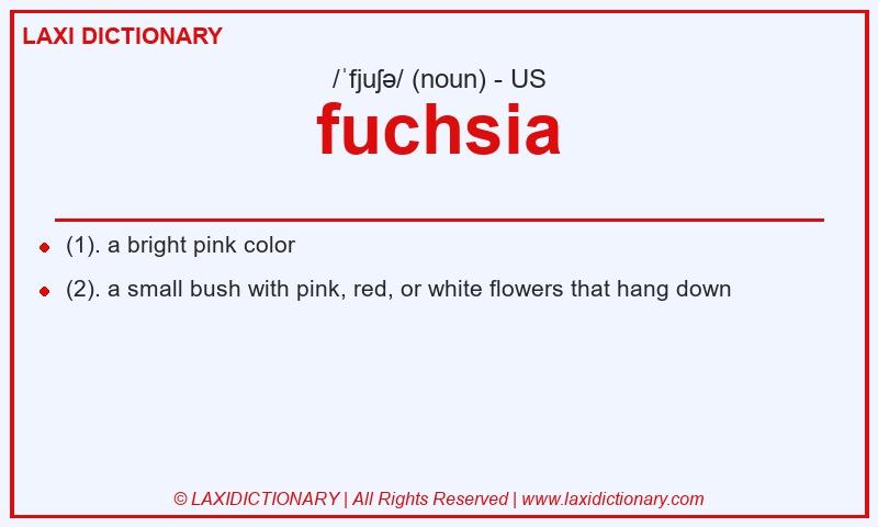 Definition fuchsia in American English