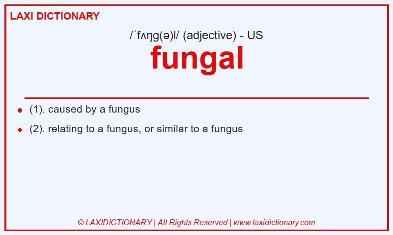 Definition fungal in American English