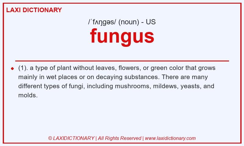 Definition fungus in American English