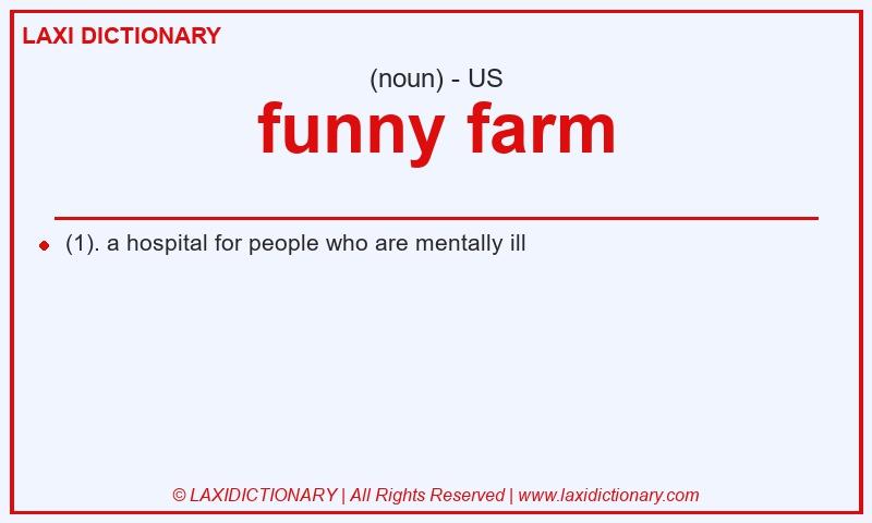 Definition funny farm in American English
