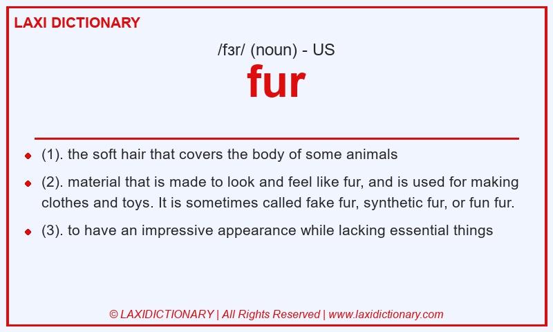 Definition fur in American English