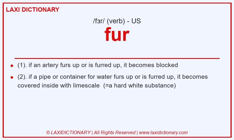 Definition fur in American English