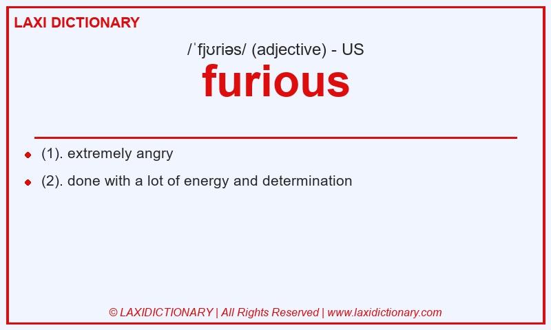 Definition furious in American English