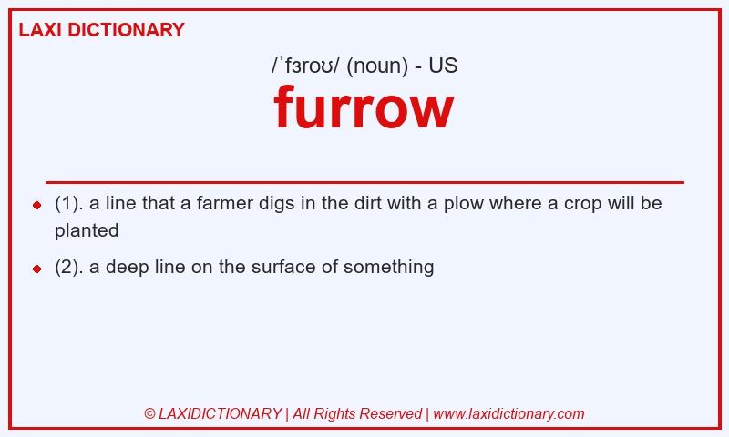 Definition furrow in American English