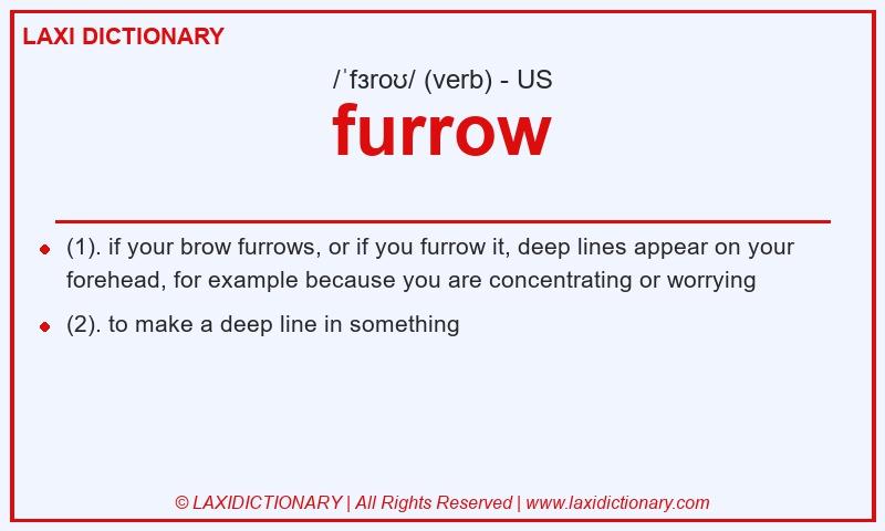 Definition furrow in American English