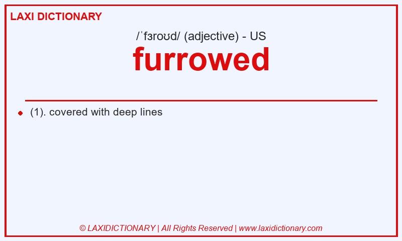 Definition furrowed in American English