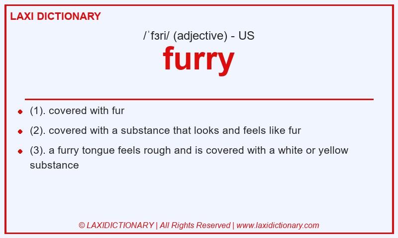 Definition furry in American English