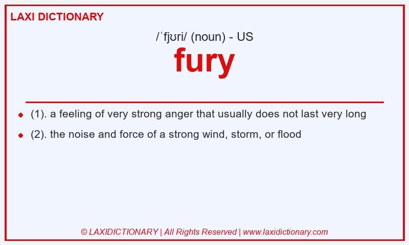 Definition fury in American English