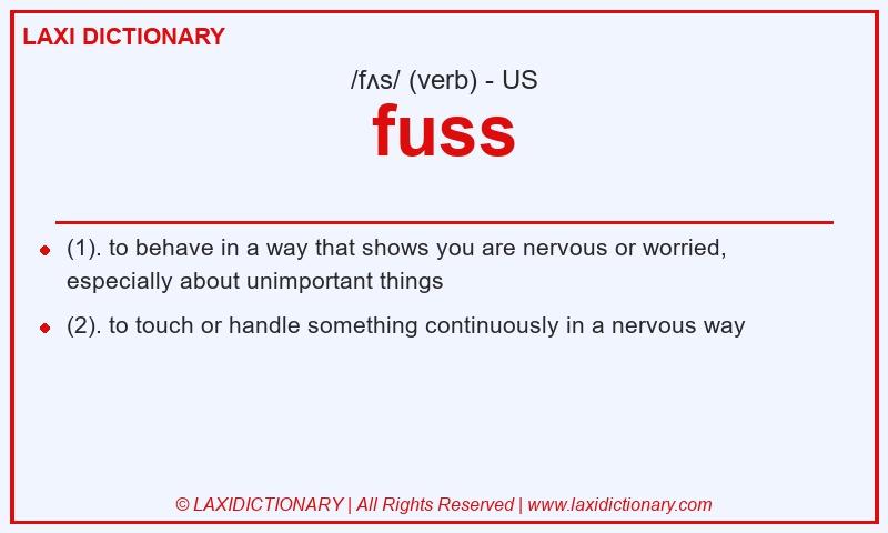 Definition fuss in American English