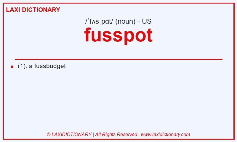 Definition fusspot in American English
