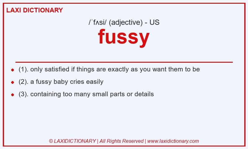 Definition fussy in American English