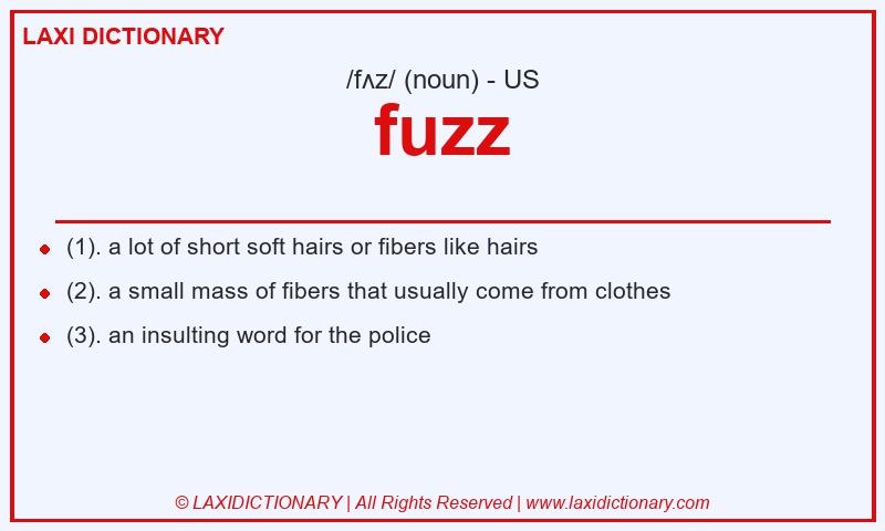 Definition fuzz in American English