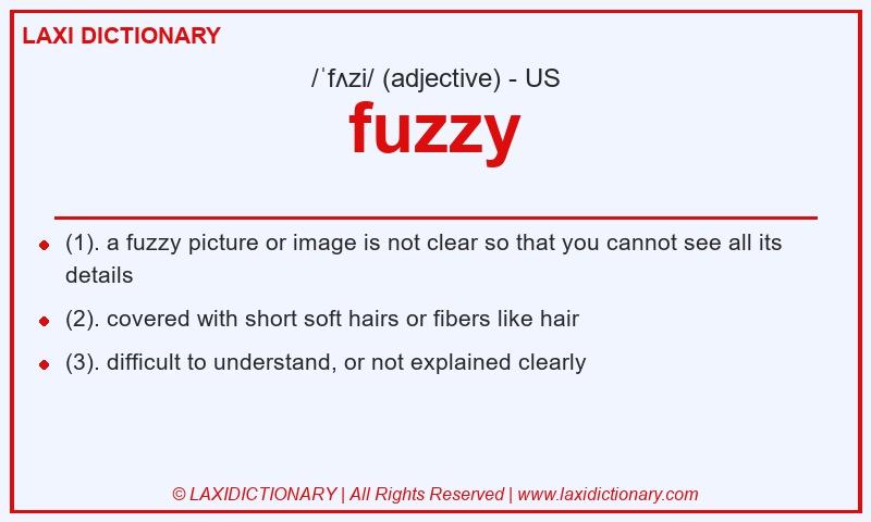 Definition fuzzy in American English