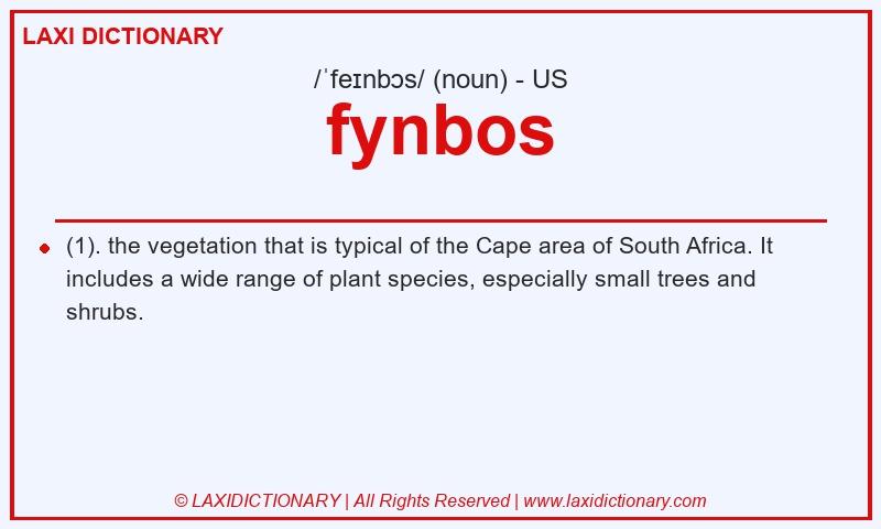 Definition fynbos in American English