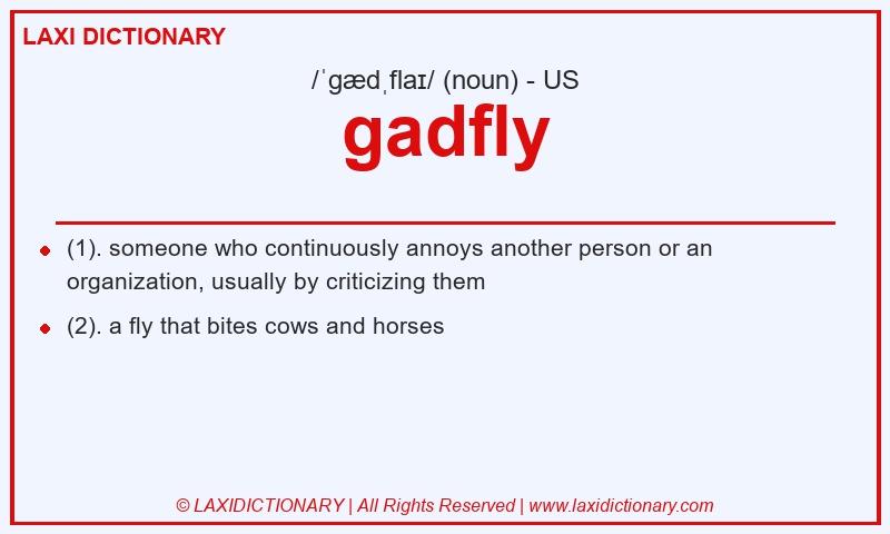 Definition gadfly in American English