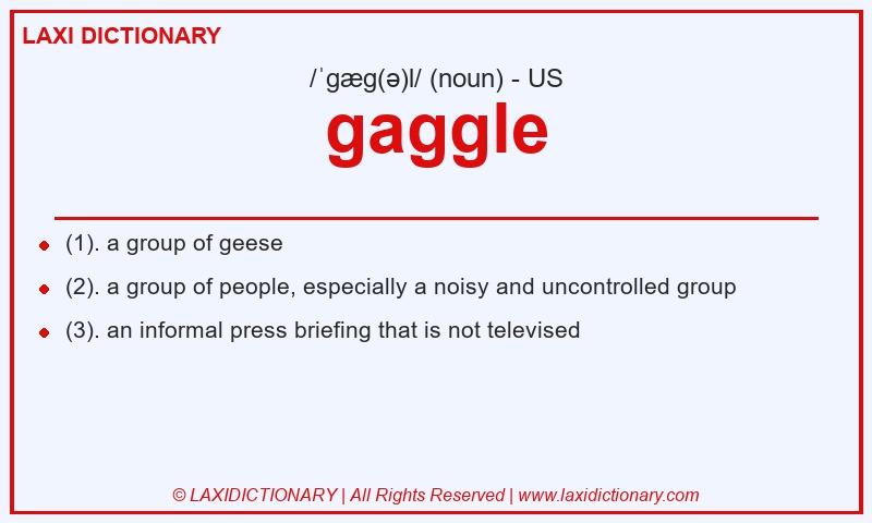 Definition gaggle in American English