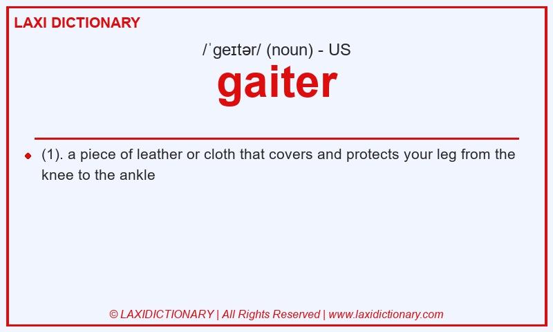 Definition gaiter in American English
