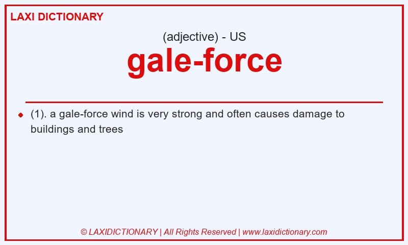 Definition gale-force in American English