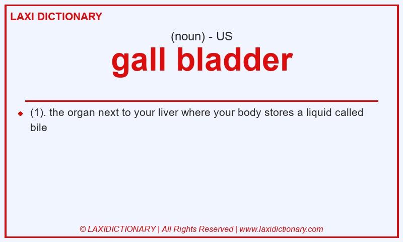 Definition gall bladder in American English