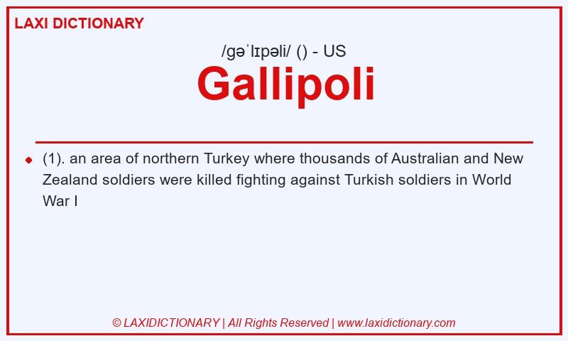 Definition Gallipoli in American English