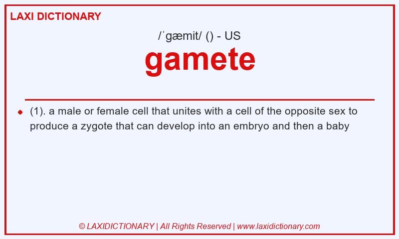 Definition gamete in American English