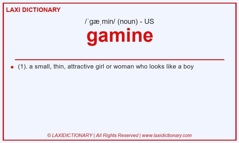 Definition gamine in American English