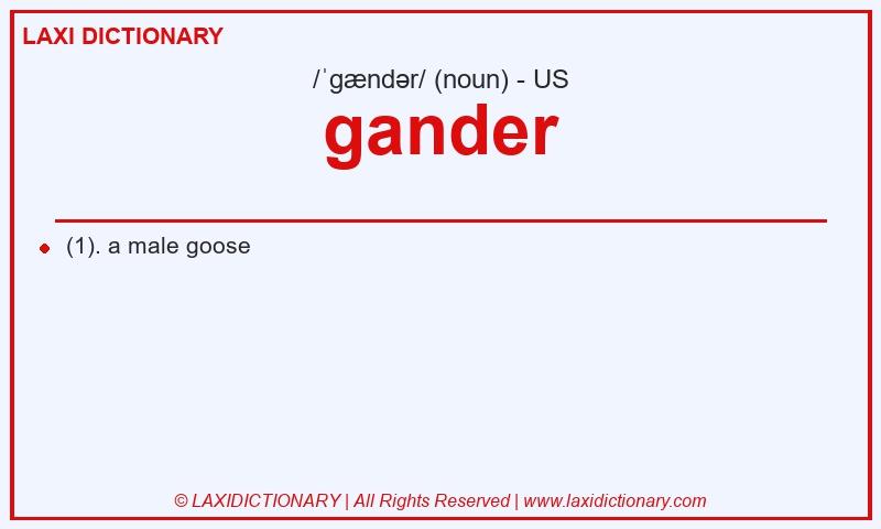 Definition gander in American English