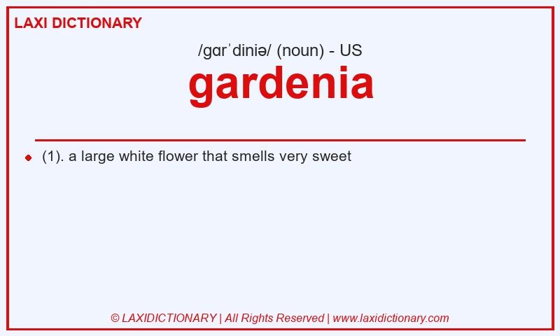 Definition gardenia in American English